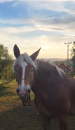 kuba-portret-5.jpg