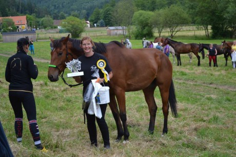 Závody-trofej