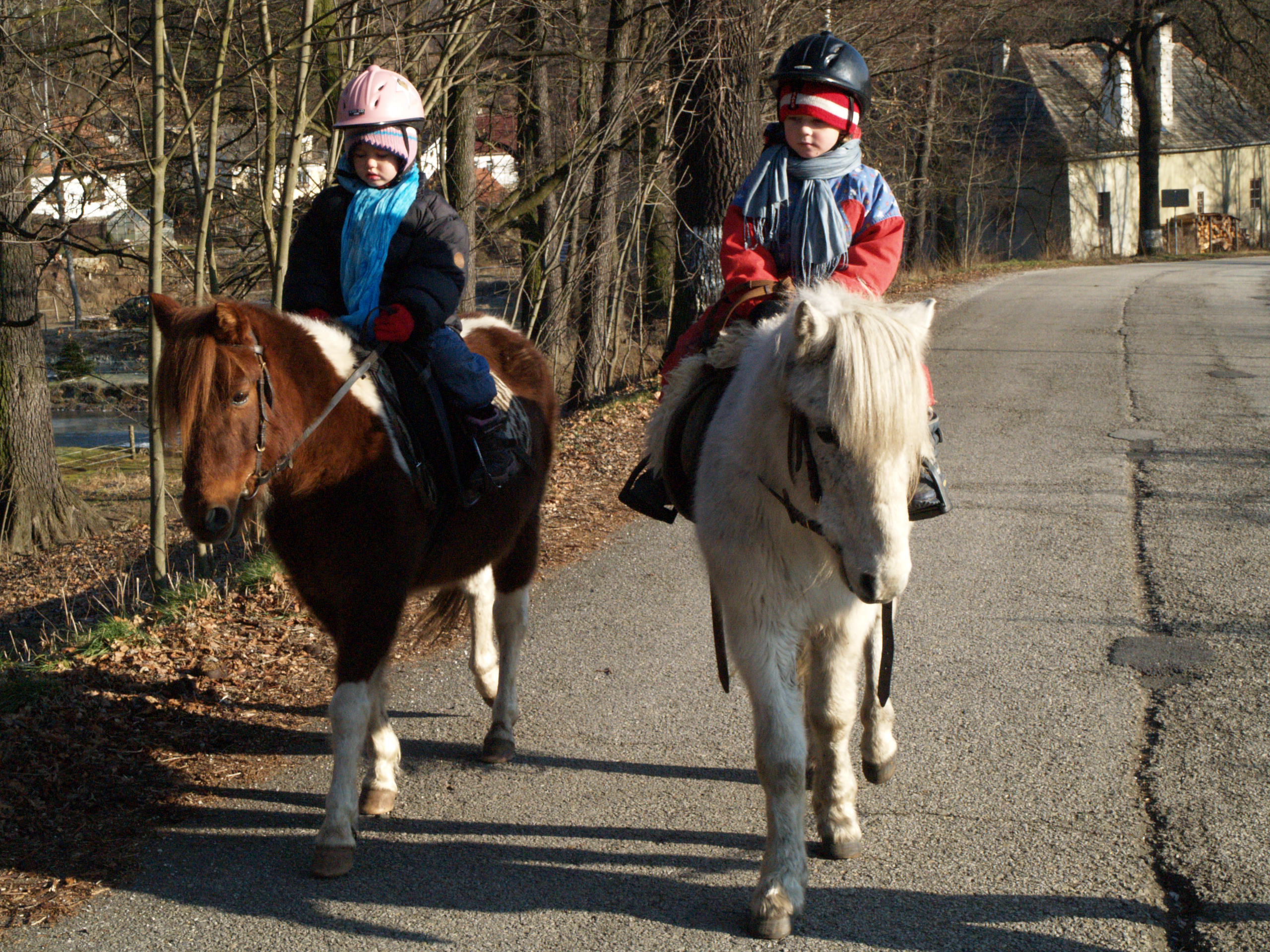 Kopie (2) - PC306105.JPG