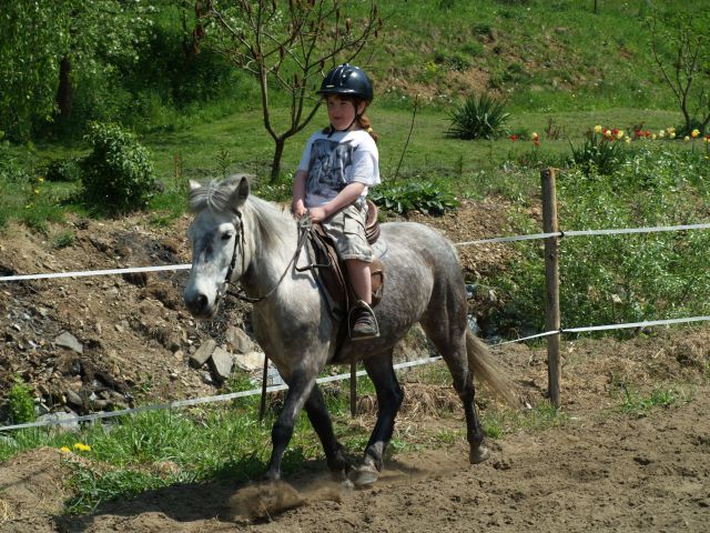 image132.jpg